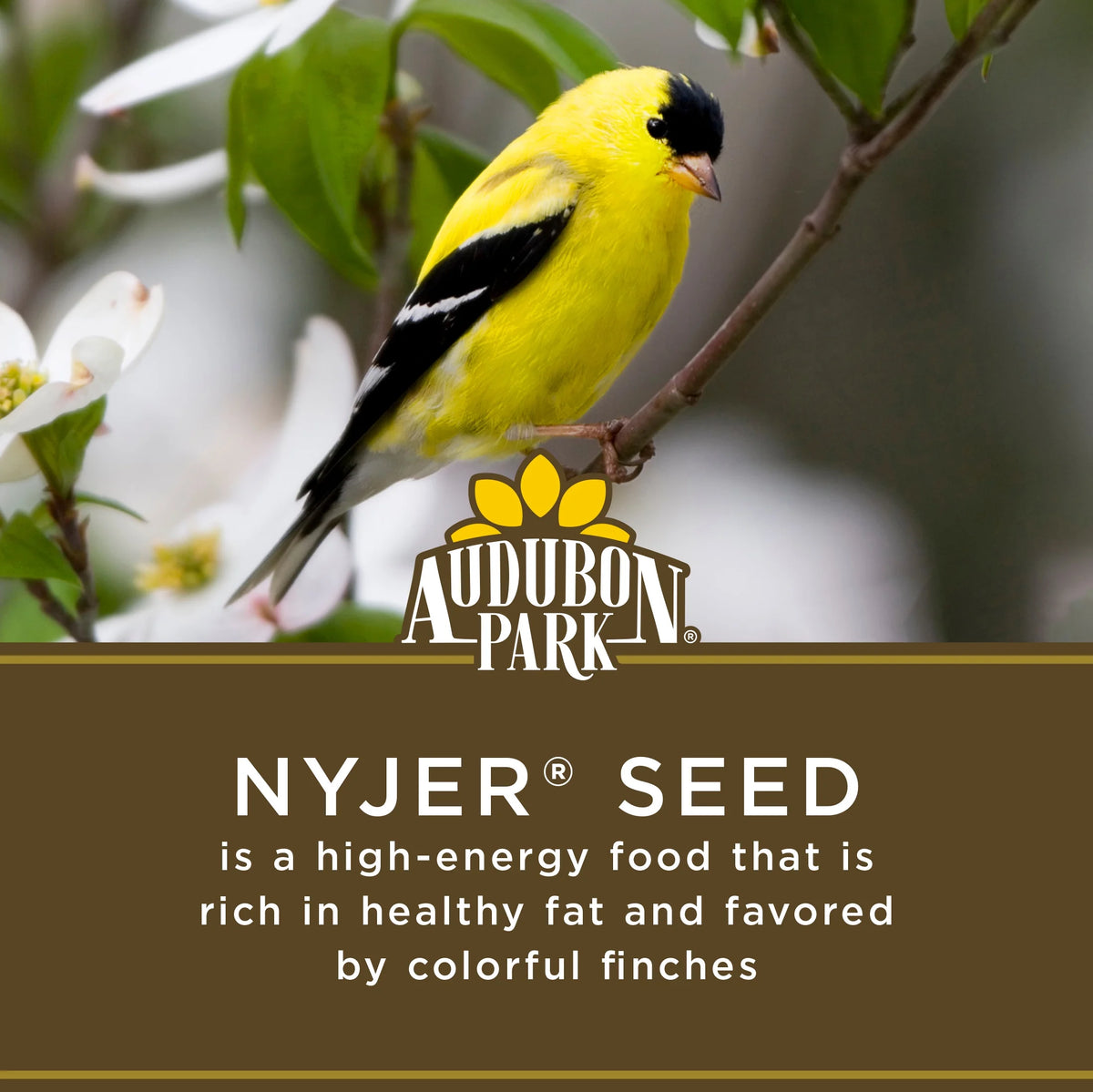 Nyjer Seed Wild Bird Food, 15 lb. Bag F406