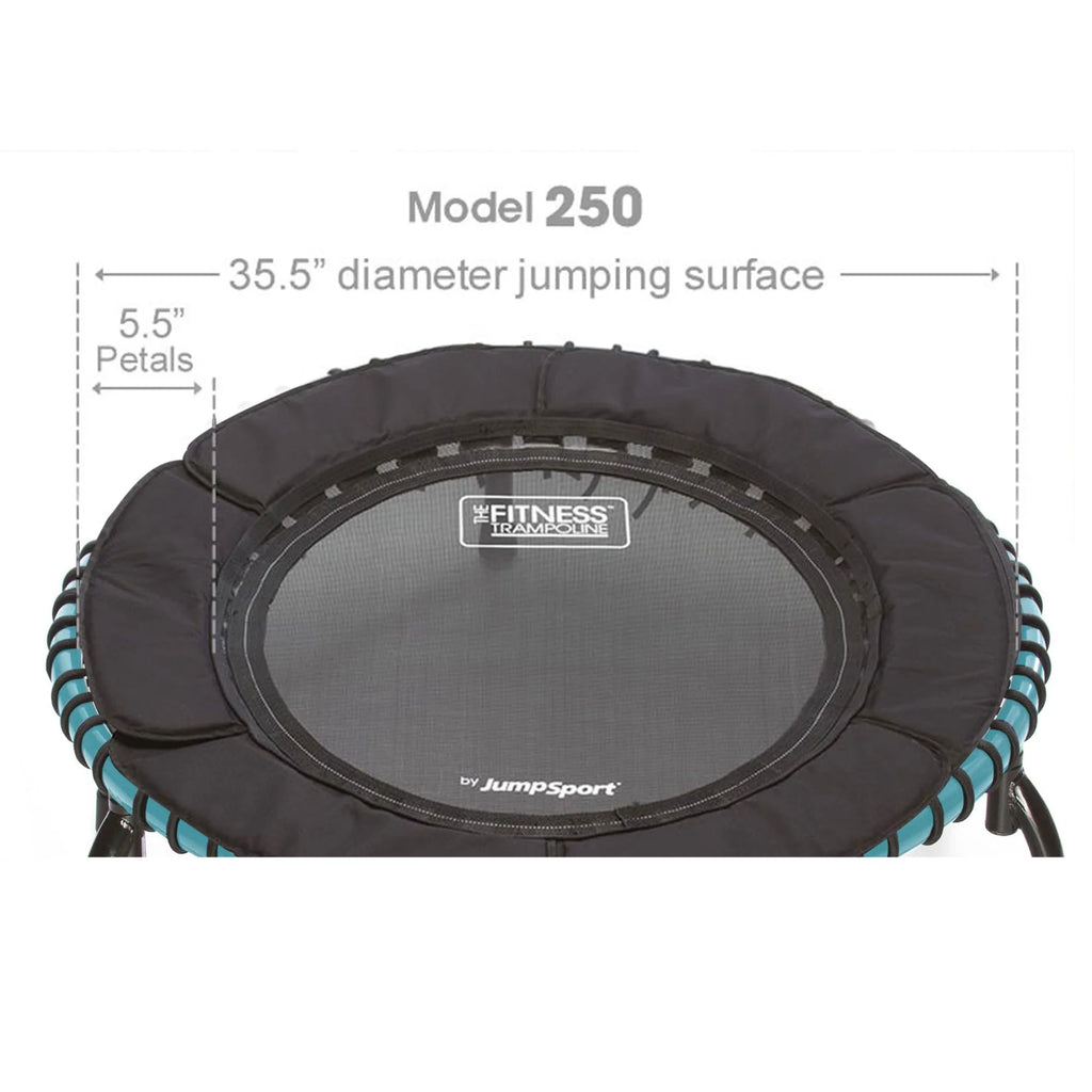 Teal Lightweight Fitness Trampoline U3898