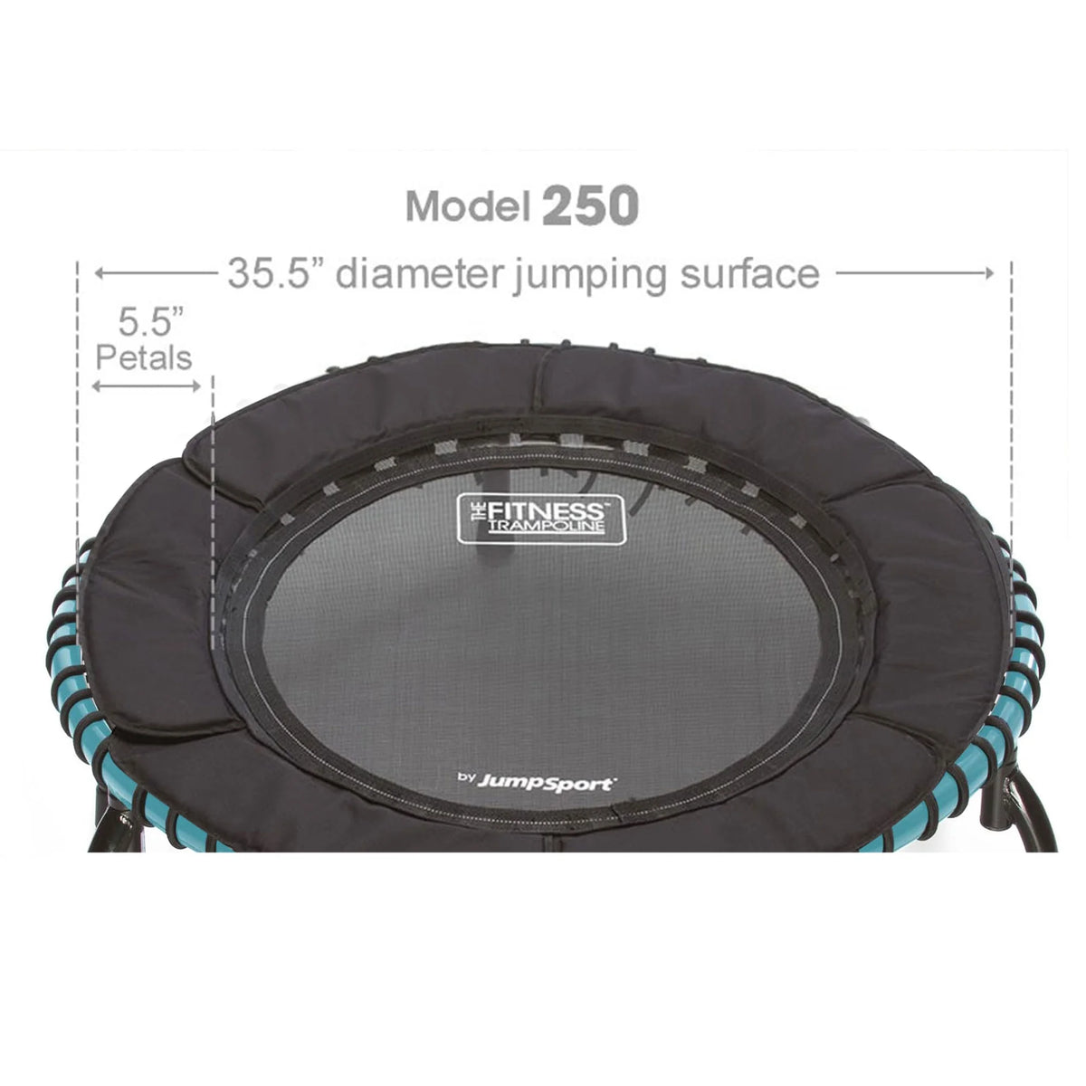 Teal Lightweight Fitness Trampoline U3898