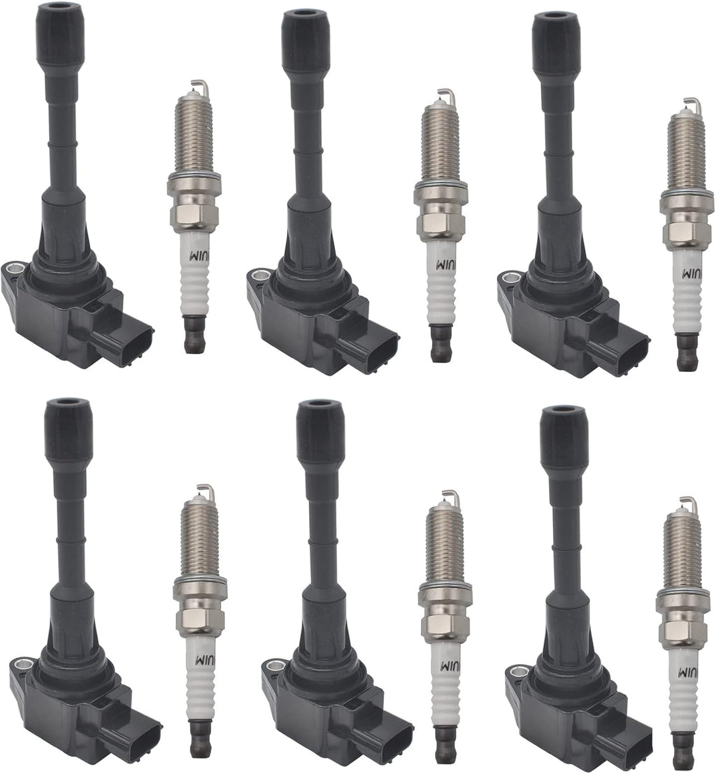 Iridium Spark Plug Ignition Coil set of 6 L704916