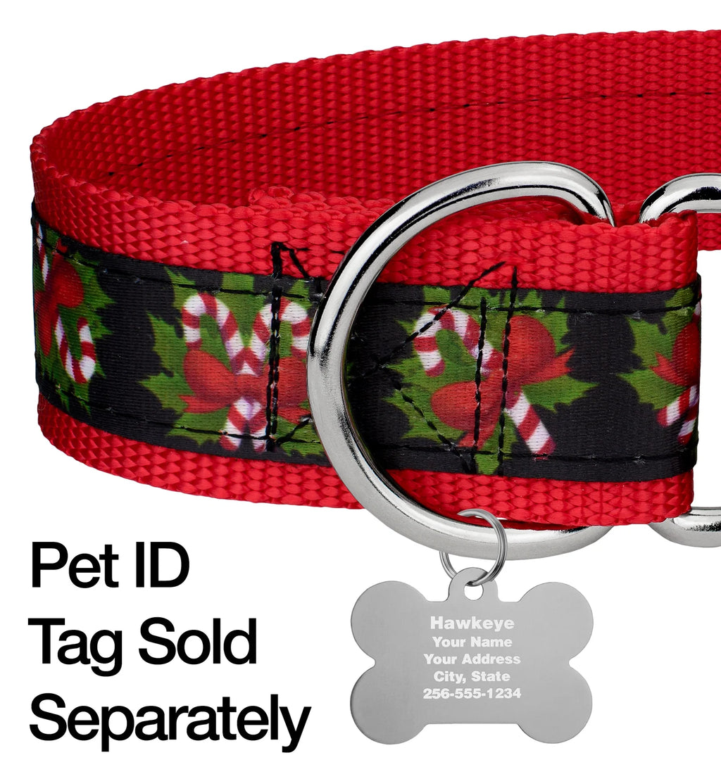 Black Candy Cane Martingale Dog Collar, 1 1/2 inch, Large Y930491