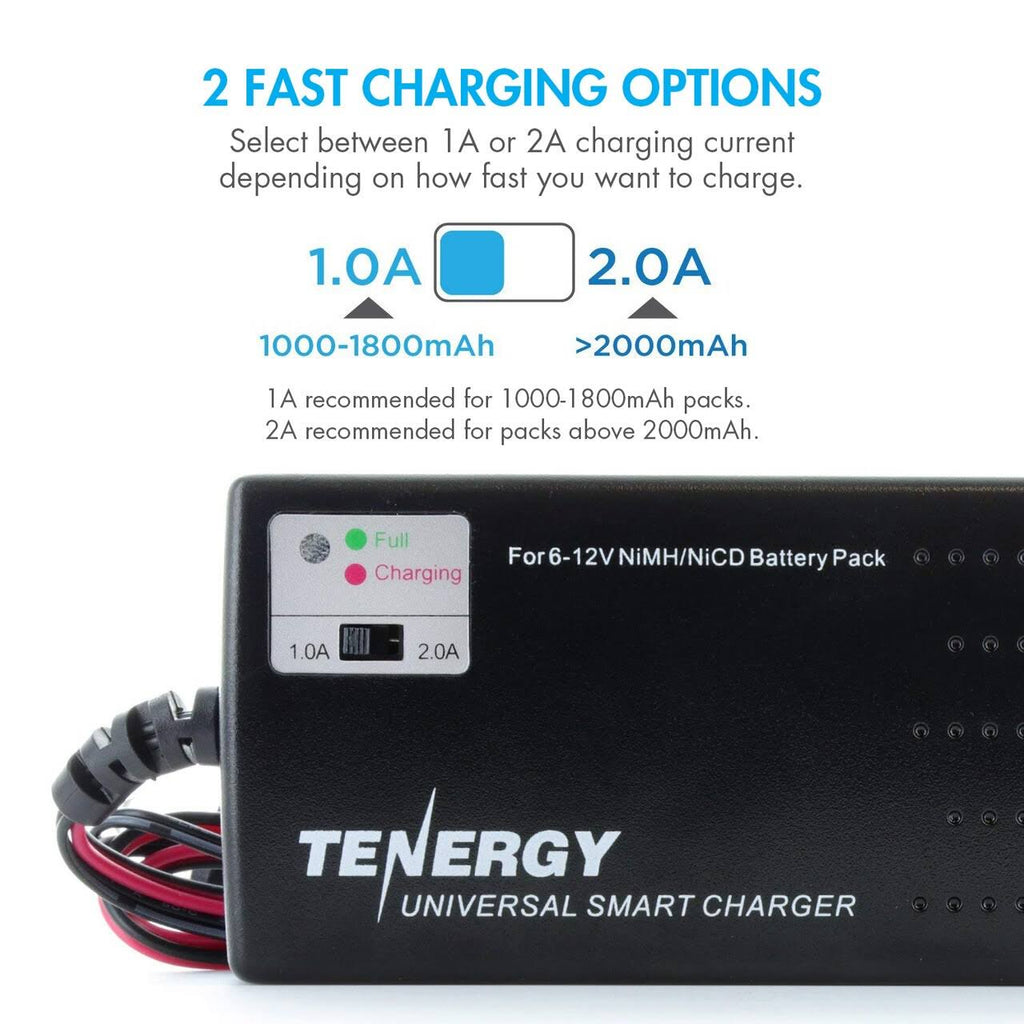 Combo: Universal Smart Charger 6V - 12V + 2 Pcs 7.2V NiMH 3800mAh Battery Packs W6521