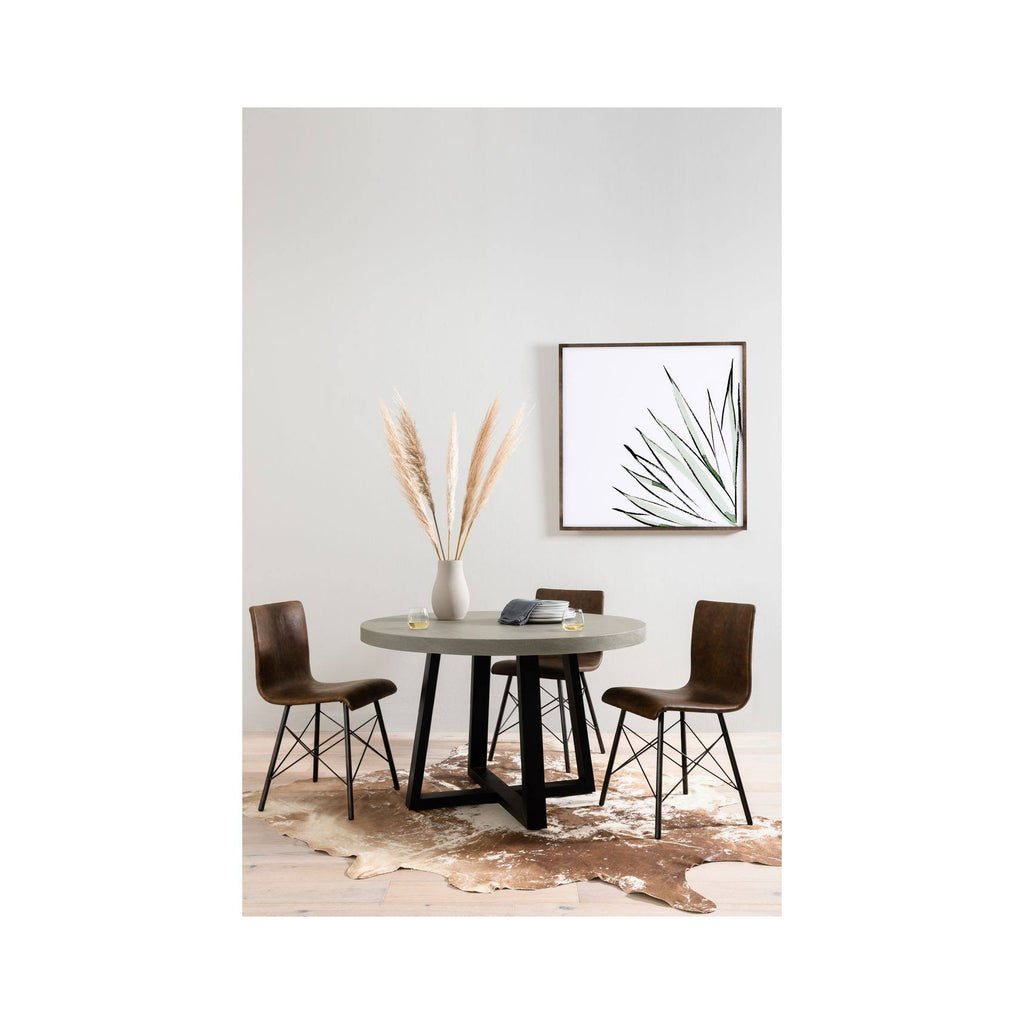 Agave Crop R65345