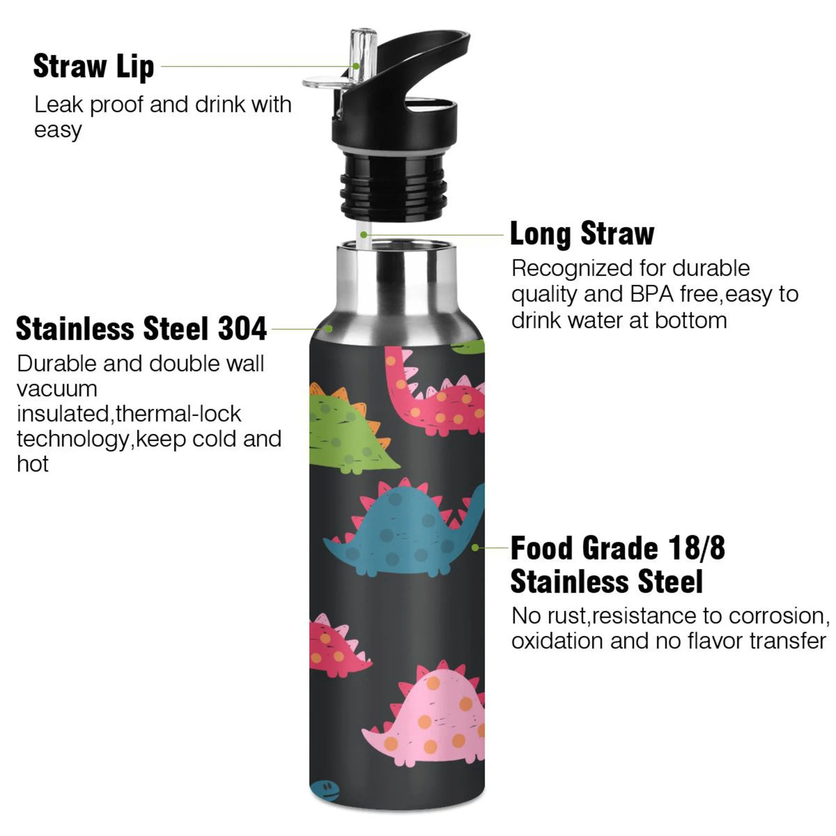 Rainbow Dinosaur Stainless Steel Insulated Water Bottle S907