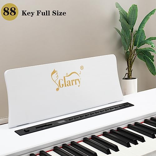 Black 88-Key Weighted Hammer Action Digital Piano O2200