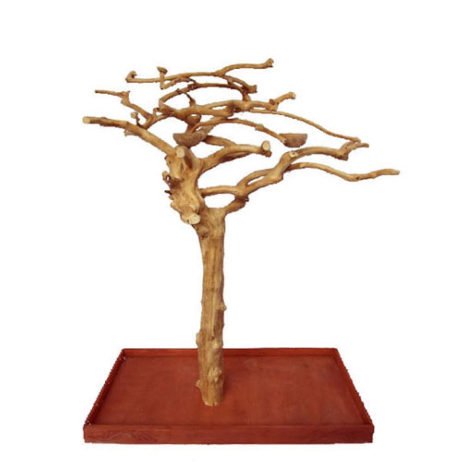 Medium Single Java Tree F413