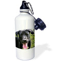 Black Labrador Puppy 21 oz Sports Water Bottle G62086