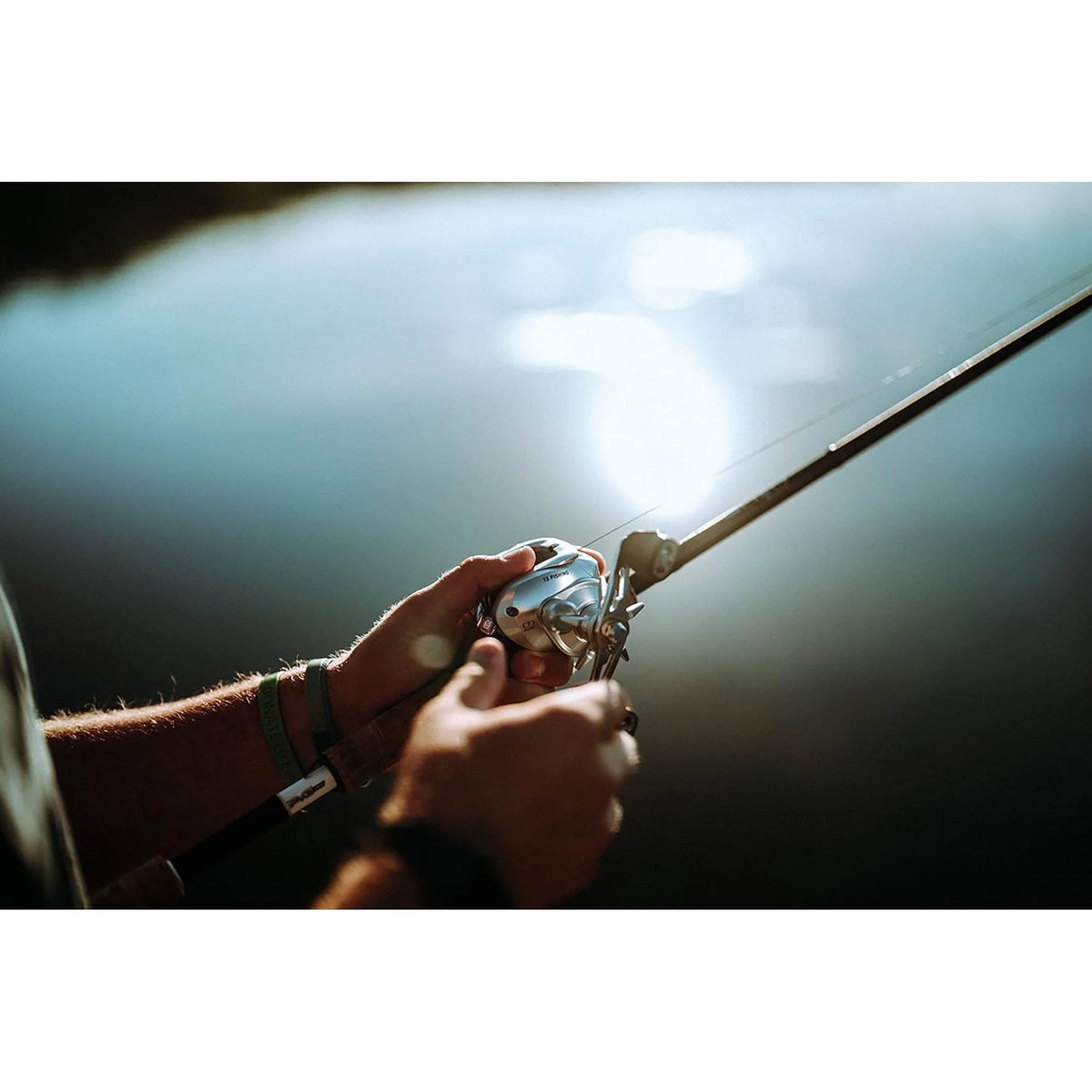8.1-1 Gear Ratio RH Baitcast Reel F7473