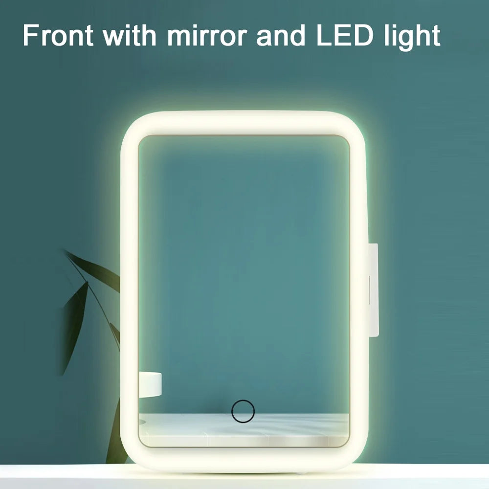 Portable Car Fridge Cooler Warmer 4L with LED Light O9297
