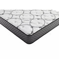 Twin Size Plush Mattress V3017