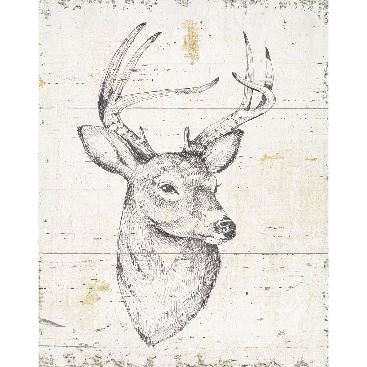 Framed Canvas Wildlife Animal, 16 inch x 32 inch, Gray R3436
