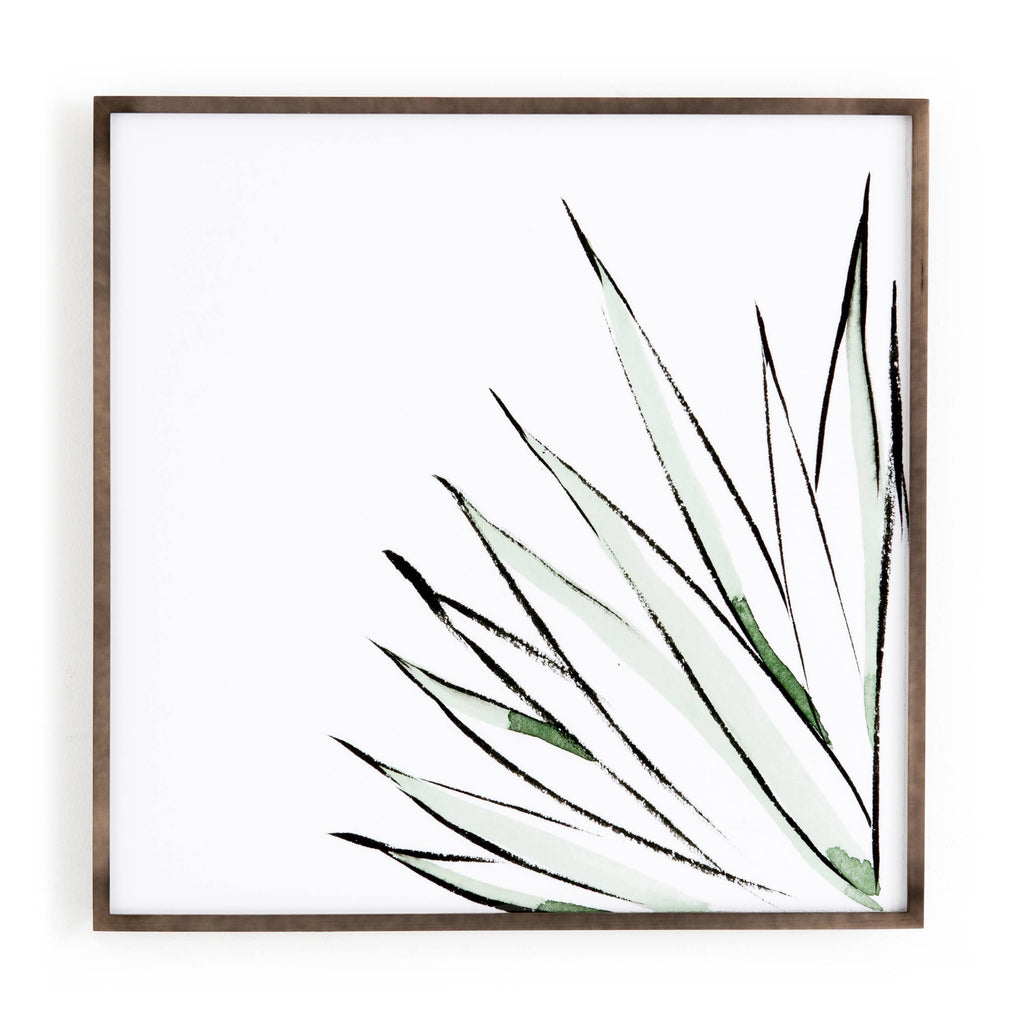 Agave Crop R65345