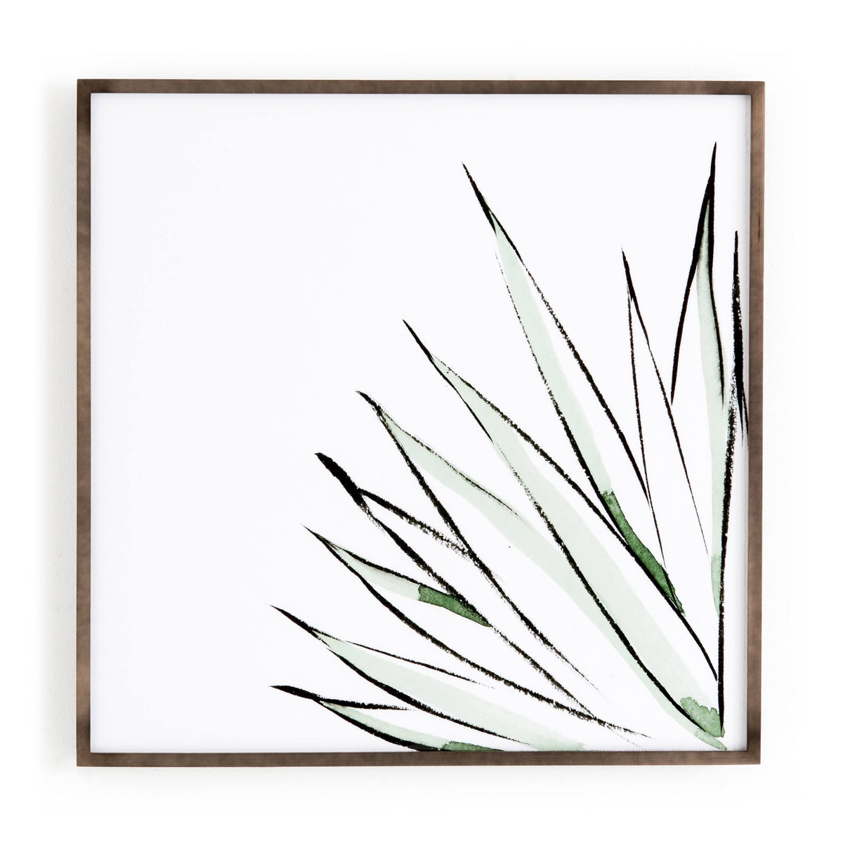 Agave Crop R65345