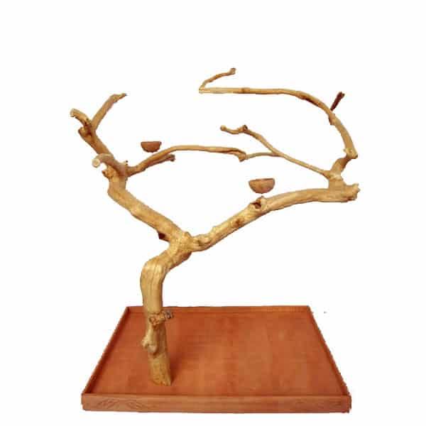 Medium Single Java Tree F413