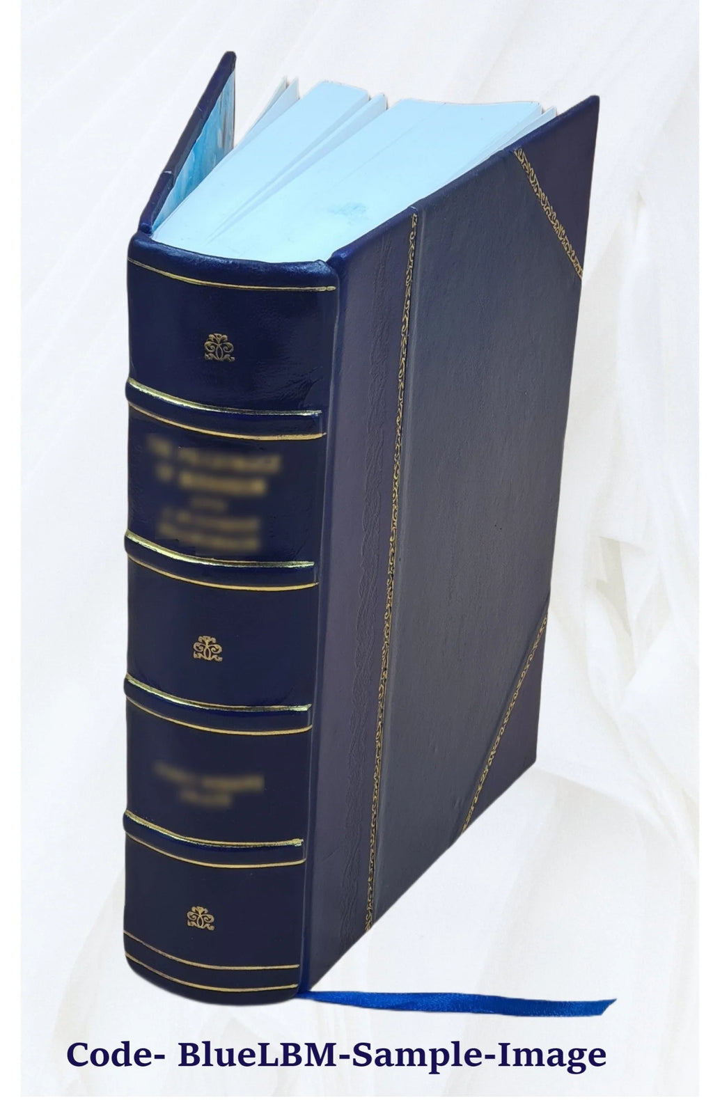 Martin Luther Biography 1845 Leather Bound L620