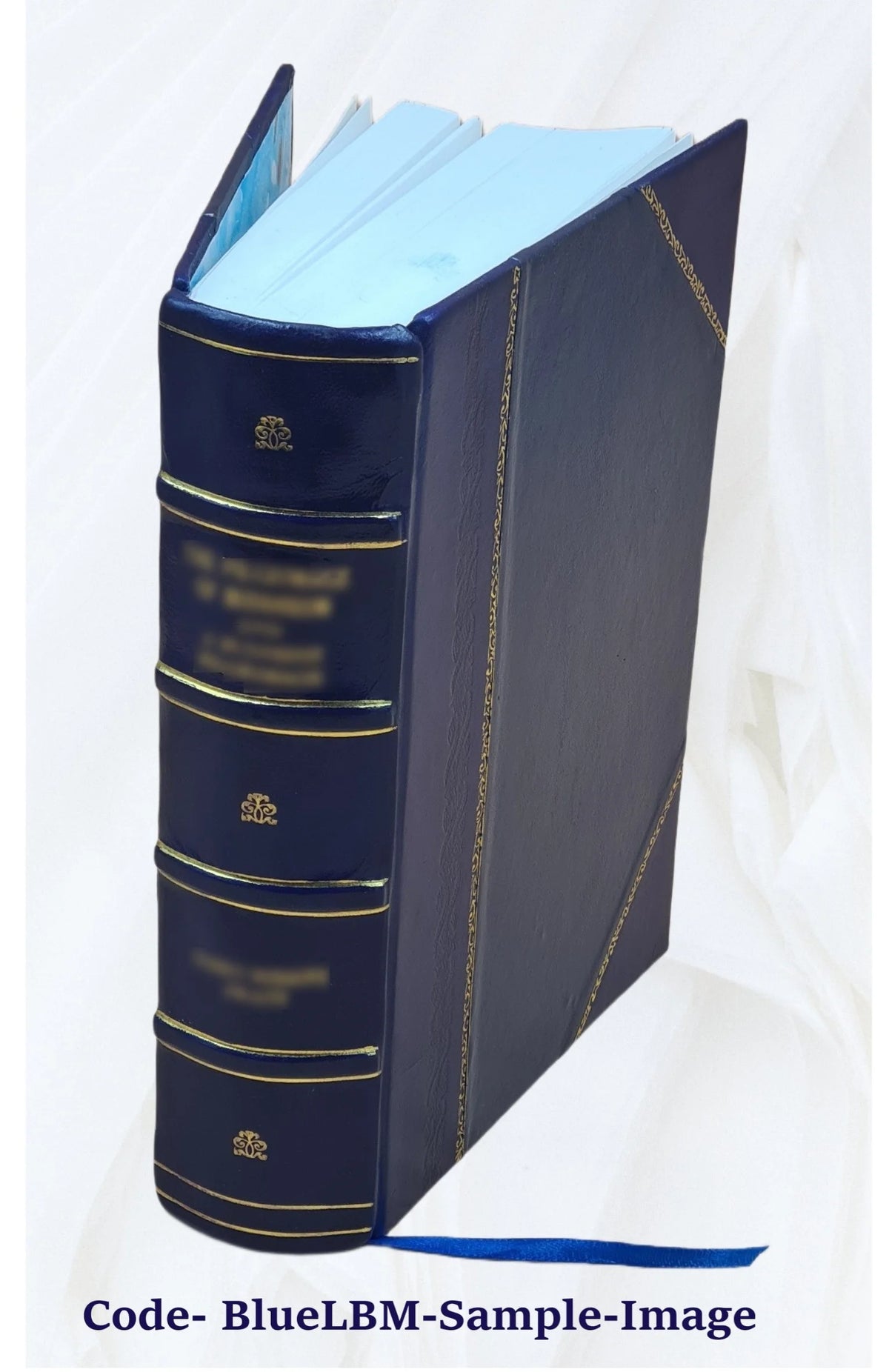 Martin Luther Biography 1845 Leather Bound L620