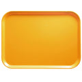 Tuscan Gold Fiberglass Rectangular Camtray L92797