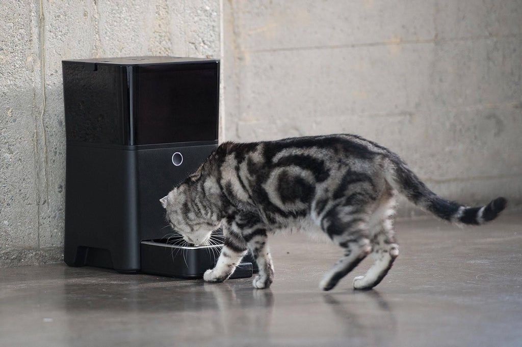 Automatic Pet Feeder A888