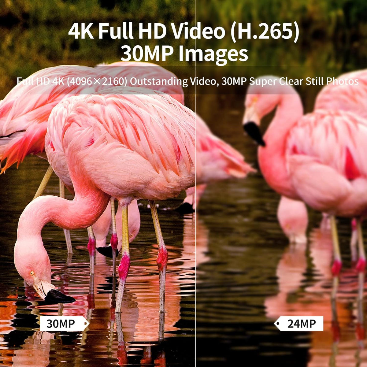 4K 30MP Night Vision Motion Activated Waterproof Trail Camera Q1110