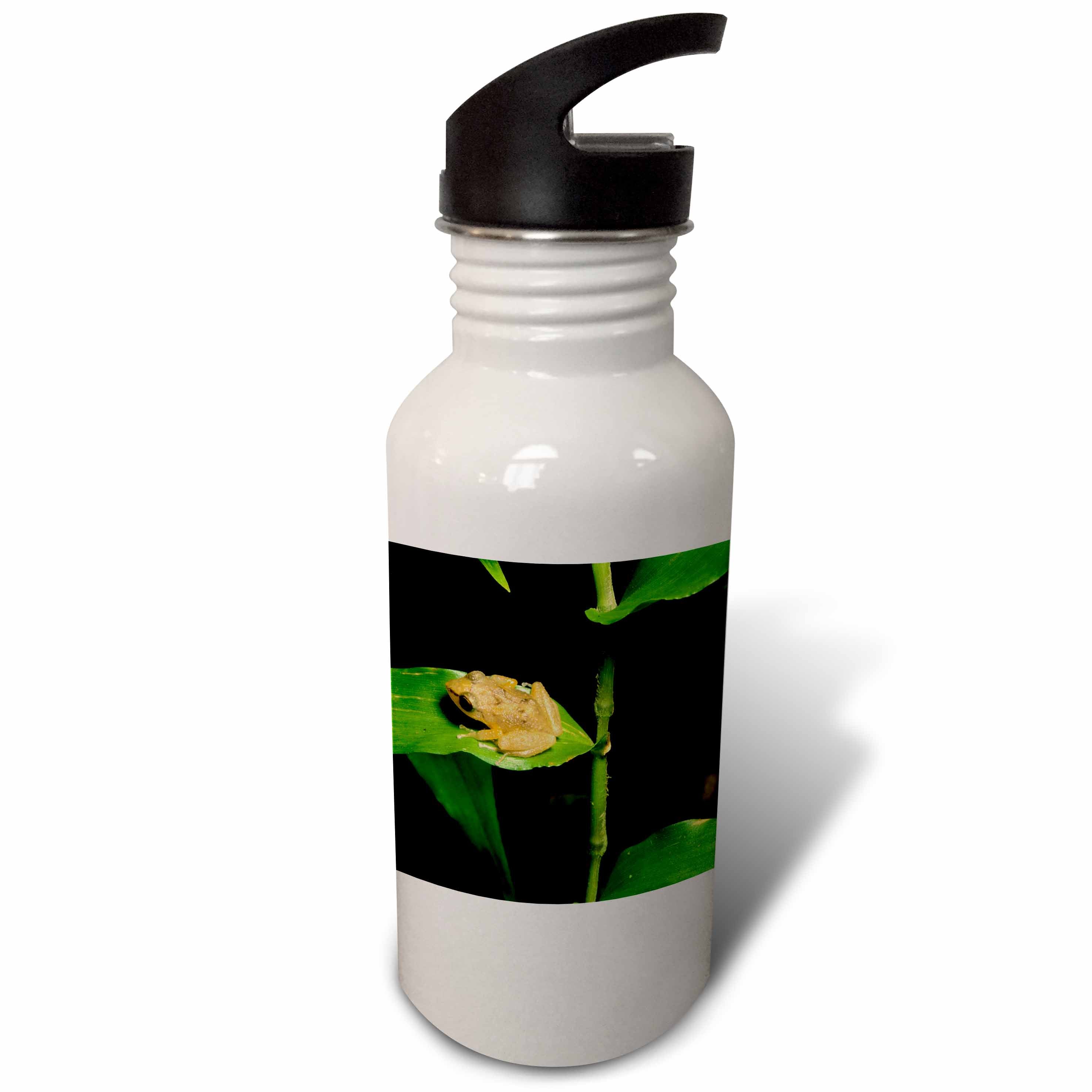 21 oz Sports Water Bottle Q37379