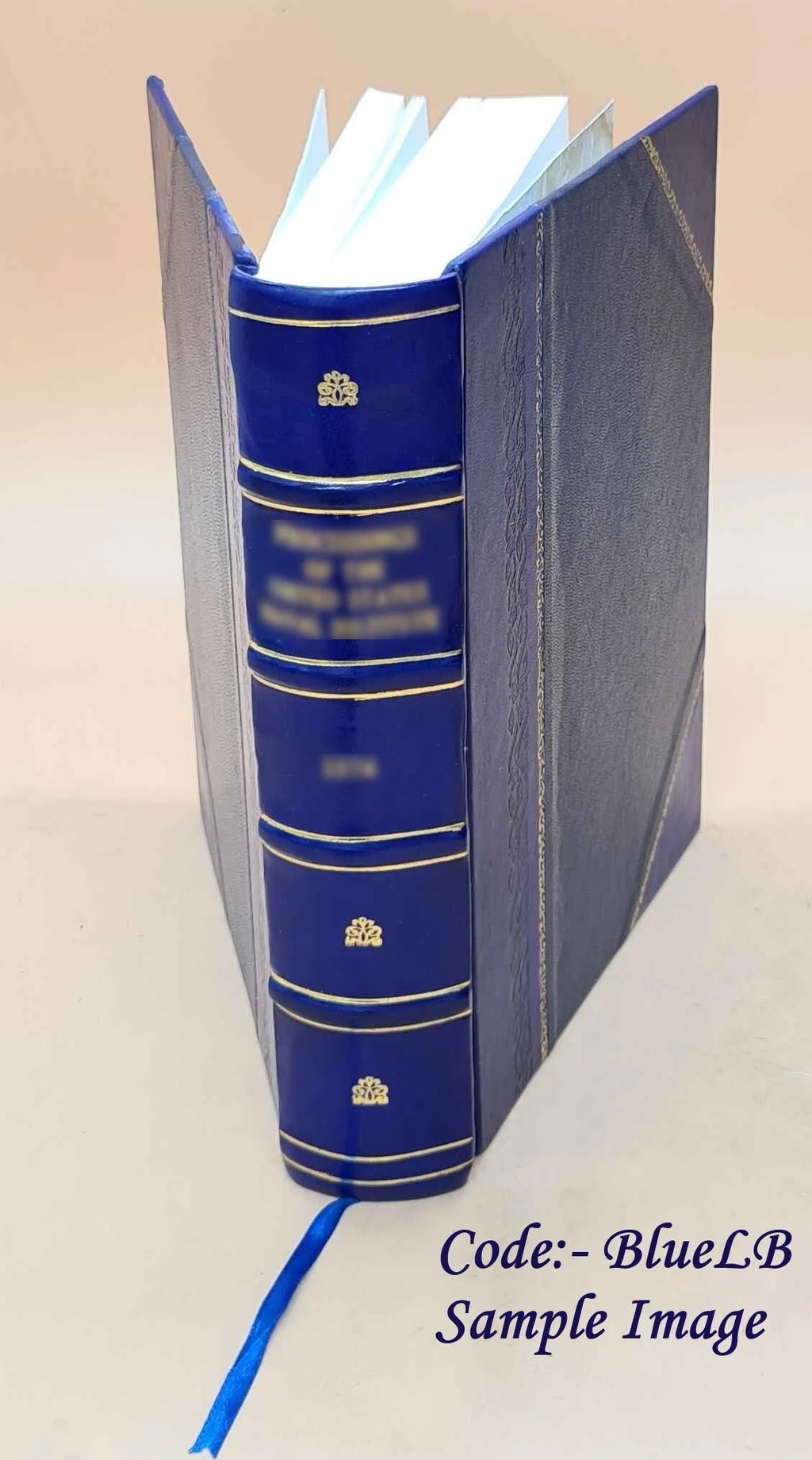Leather Bound Book N970756