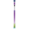 Blue LED Lamp U4451