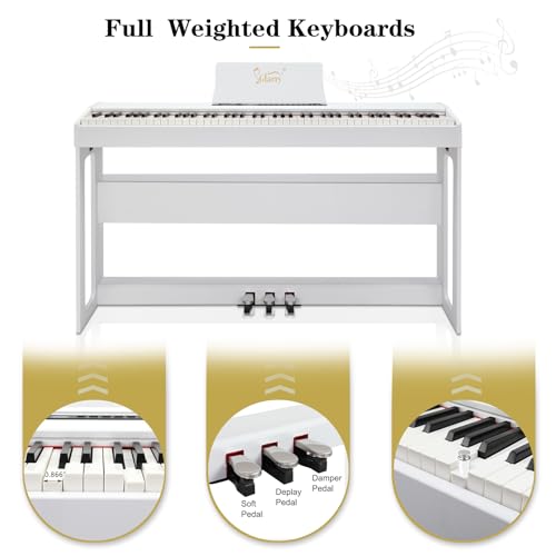 Black 88-Key Weighted Hammer Action Digital Piano O2200