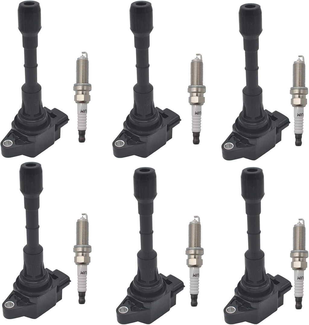 Iridium Spark Plug Ignition Coil set of 6 L704916