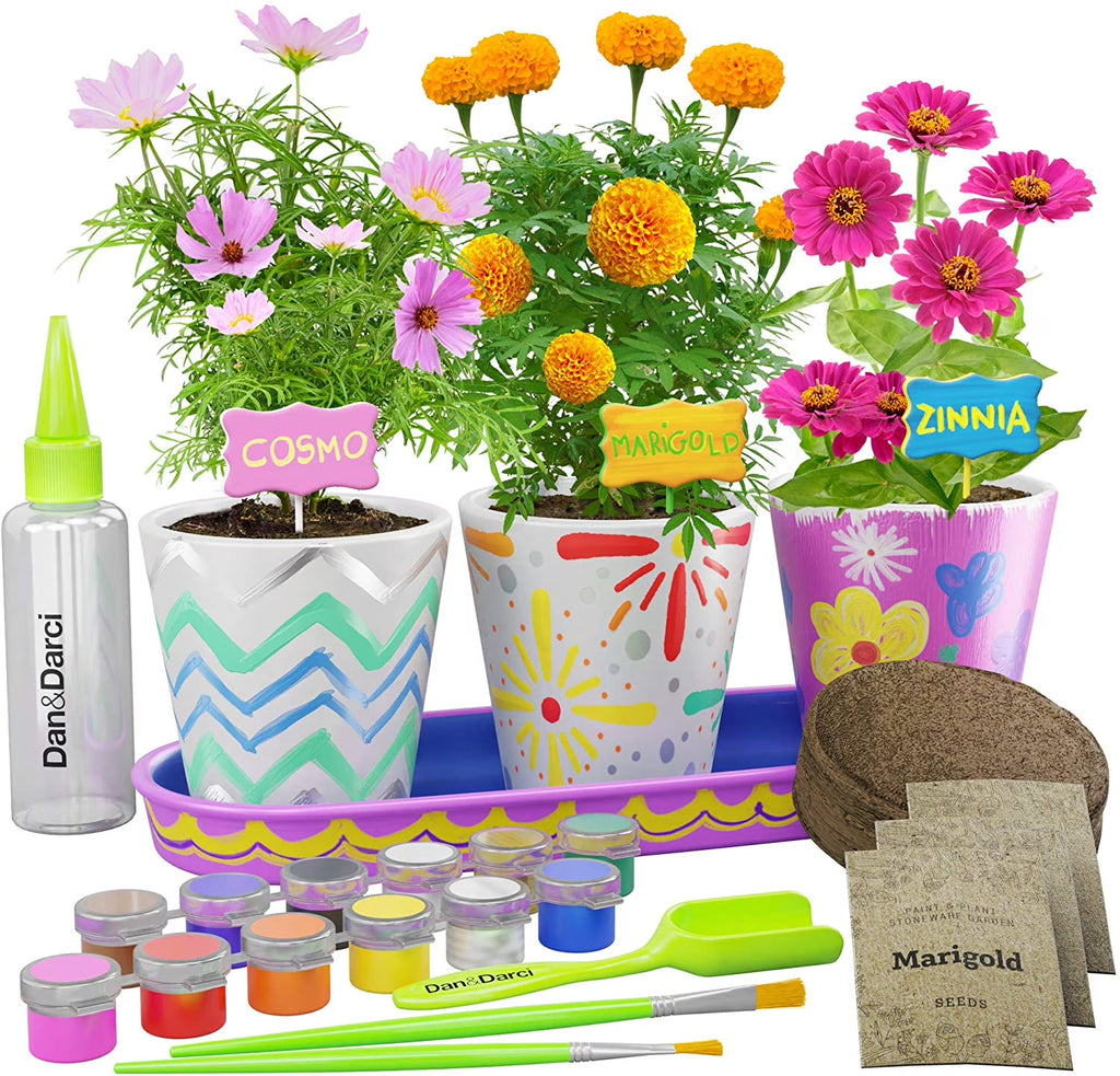 Paint & Plant Stoneware Flower Growing Kit E1338