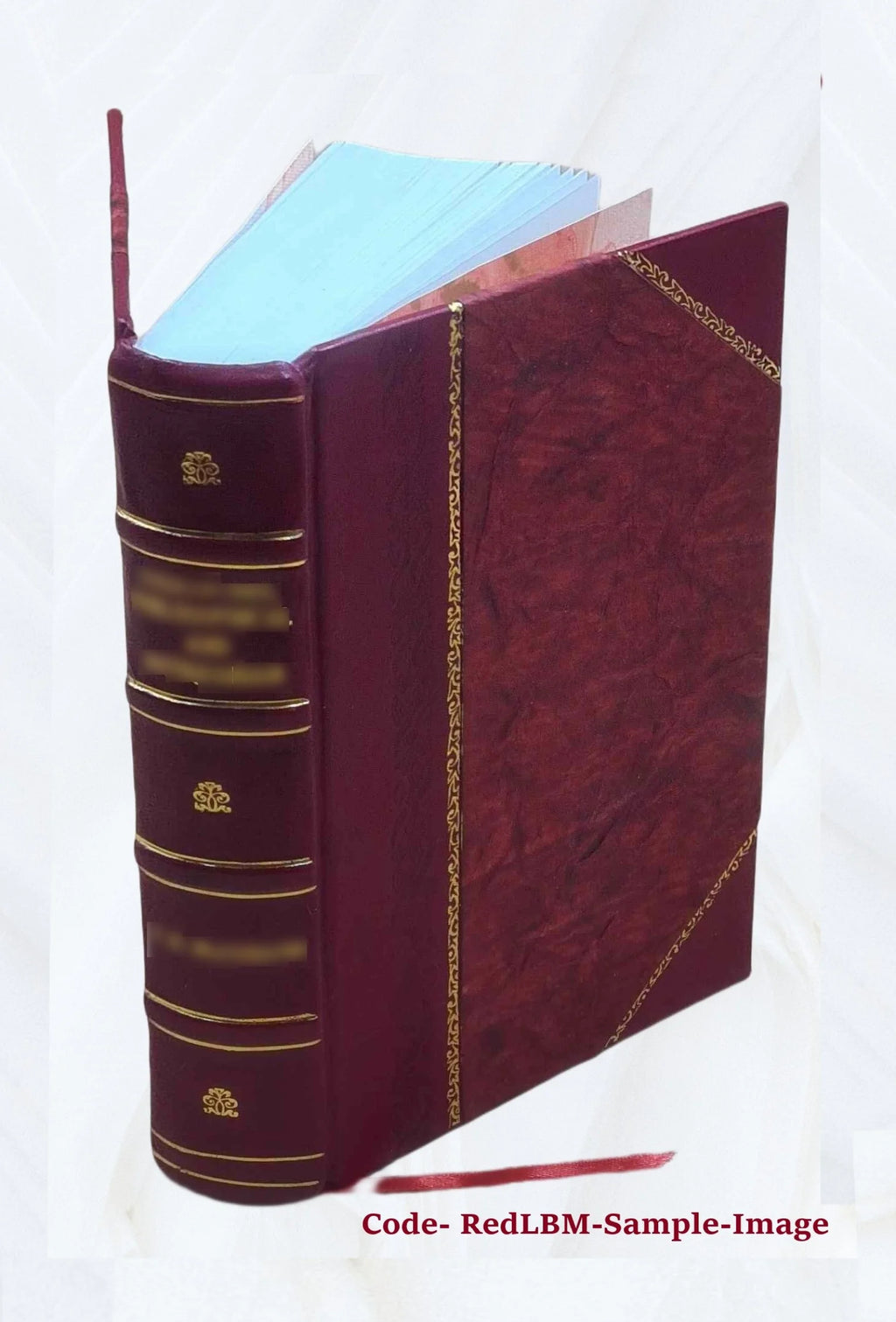 Martin Luther Biography 1845 Leather Bound L620