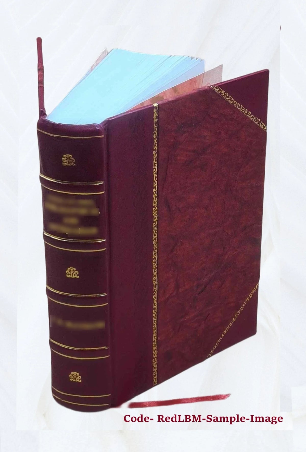 Martin Luther Biography 1845 Leather Bound L620