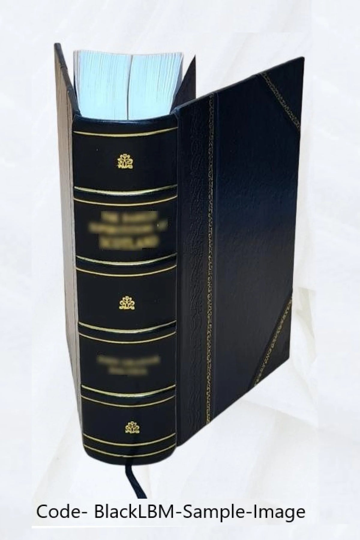Martin Luther Biography 1845 Leather Bound L620