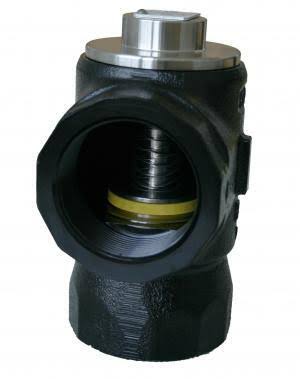 2 in. NPT Anti-Siphon Valves W181134