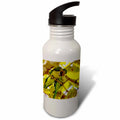 Parakeets In Tree 21 oz Sports Water Bottle R95072