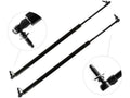 Rear Liftgate Lift Support Set C317