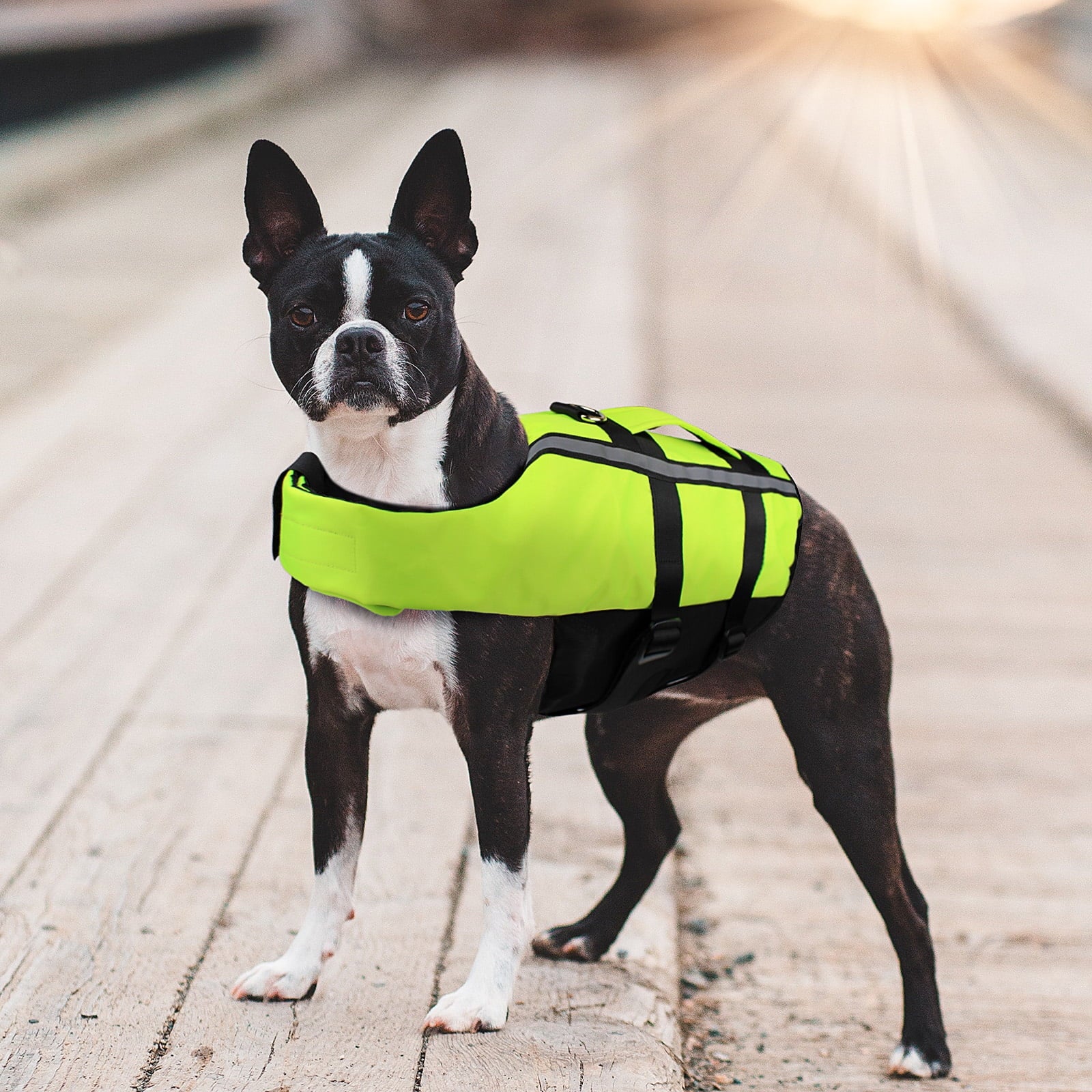 Fluor GREEN M Dog Life Jacket C1927