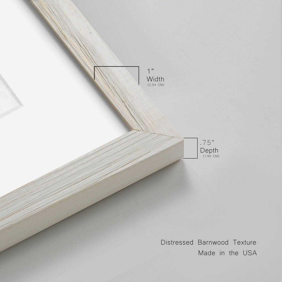 Black Framed Print 20x24 C99843
