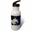 21 oz Sports Water Bottle L535