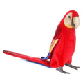 Scarlet Plush Macaw A151479