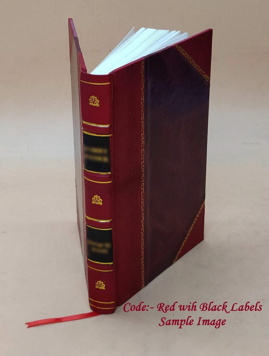 Leather Bound Book N970756