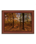 Sun Spackled Wood Framed Photograph Print V8140