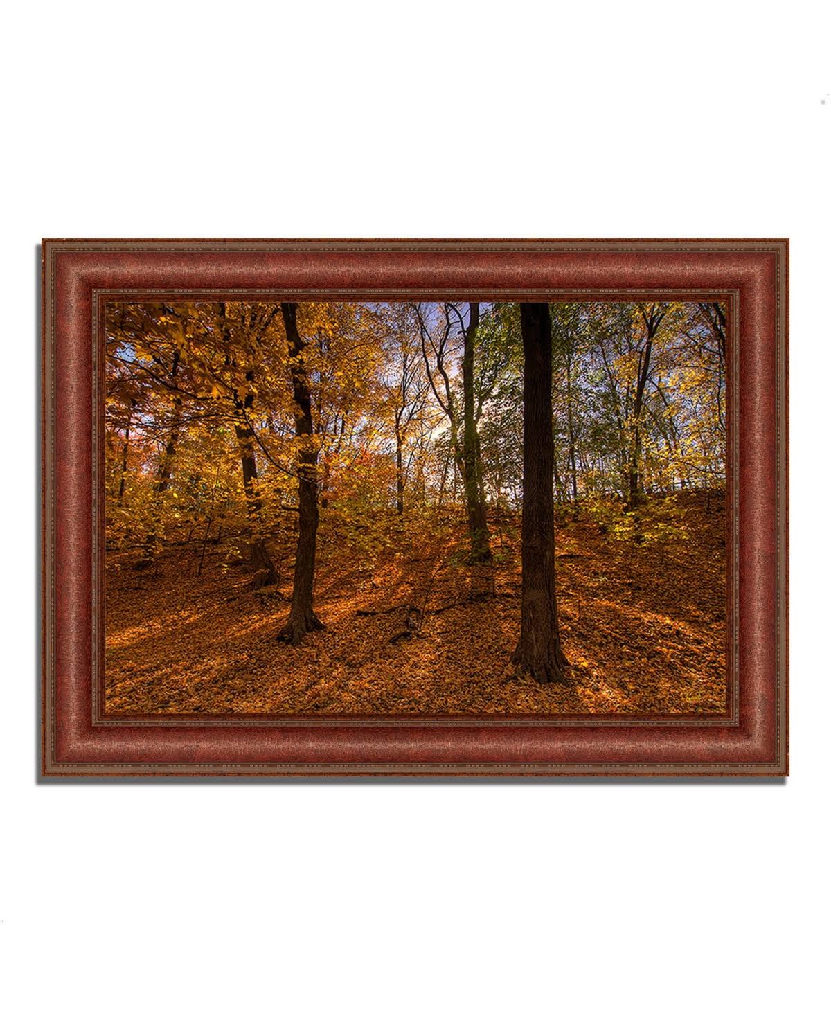 Sun Spackled Wood Framed Photograph Print V8140