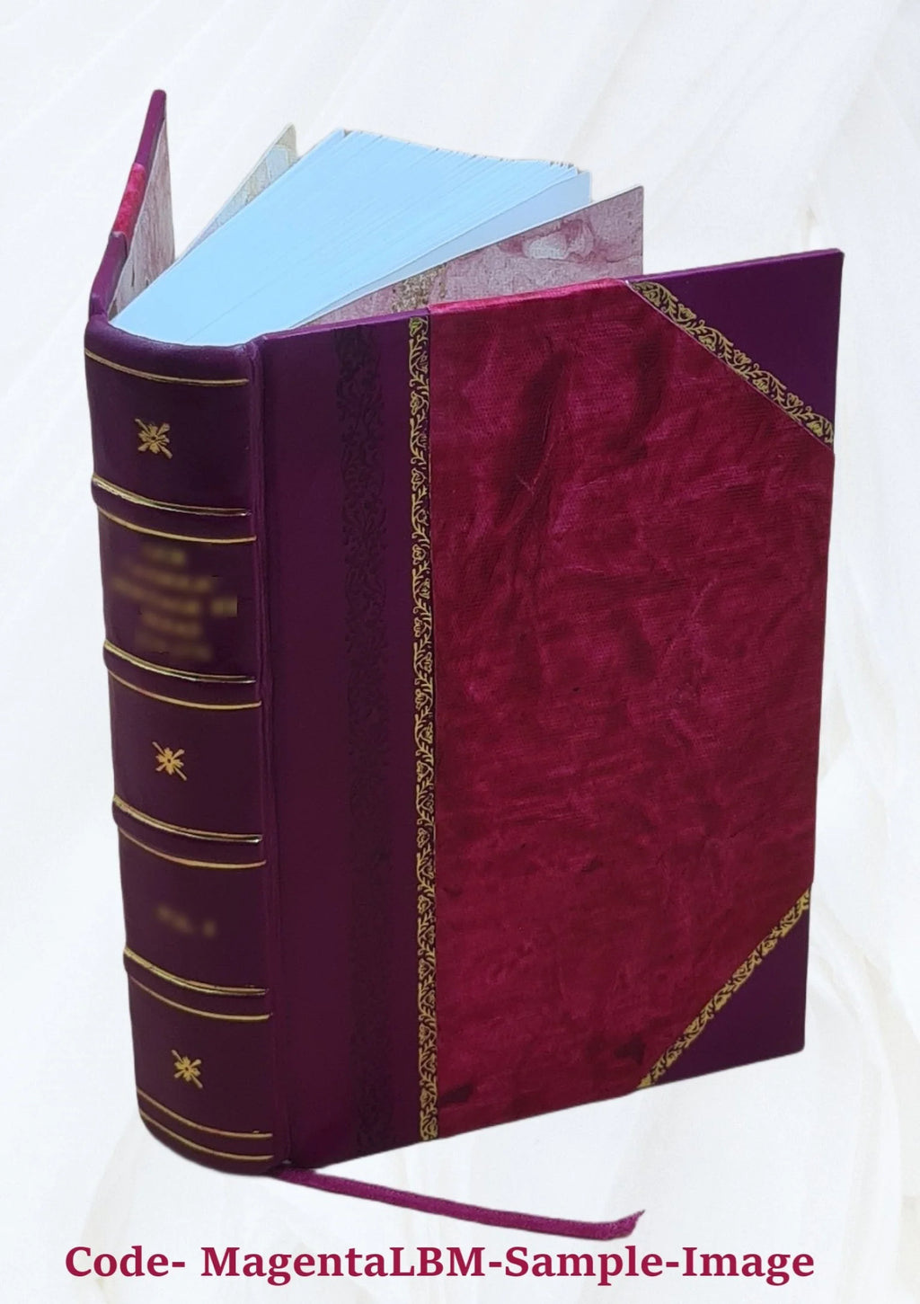 Martin Luther Biography 1845 Leather Bound L620