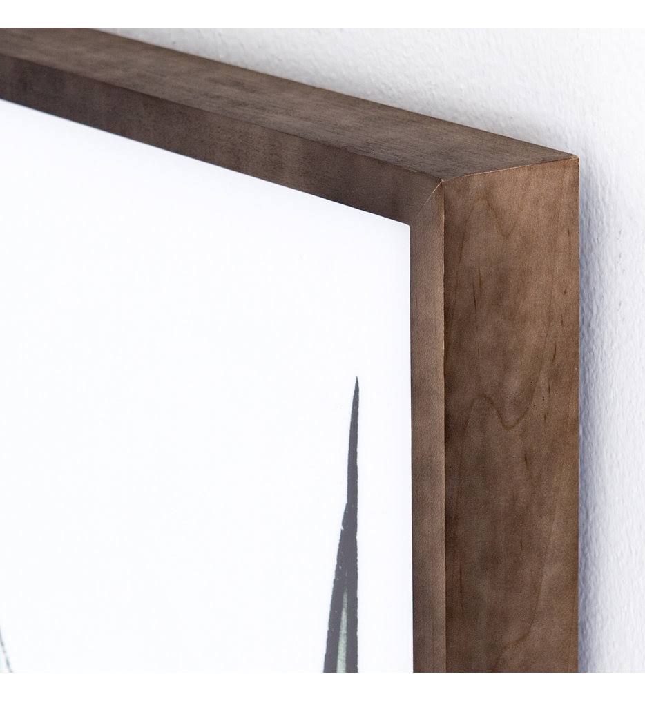 Agave Crop R65345
